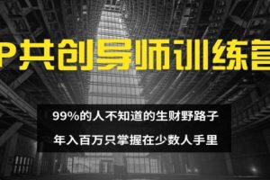 IP共创导师训练营 99%的人不知道的生财野路子 只掌握在少数人手里