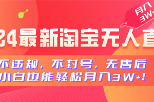 2024最新淘宝无人直播，不违规，不封号，无售后，小白也能轻松月入3W+