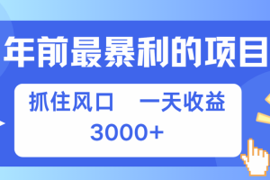 年前最赚钱的项目之一，可以过个肥年