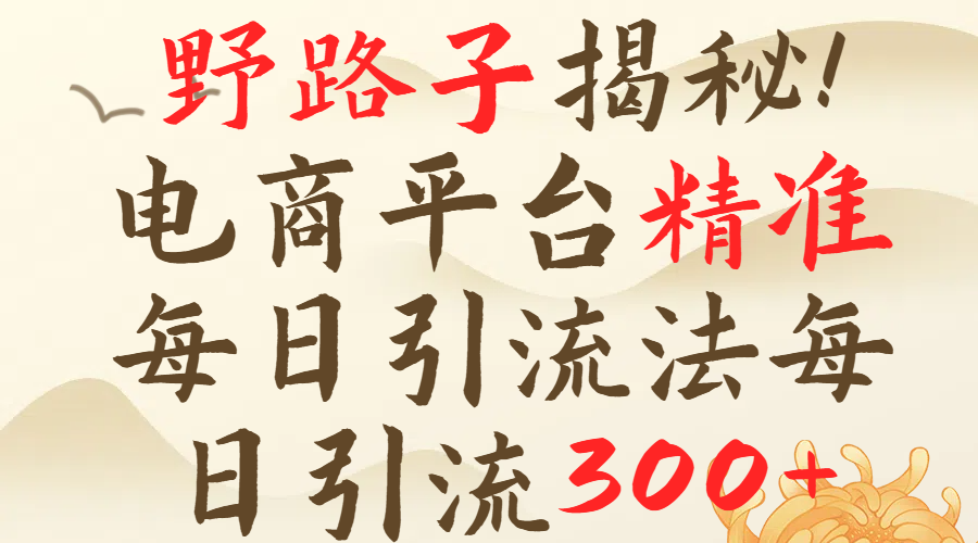 野路子揭秘！电商平台每日引流300＋独家揭秘详细流程！
