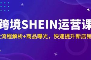 (14832期)跨境SHEIN运营课,全流程解析+商品曝光,快速提升新店销量