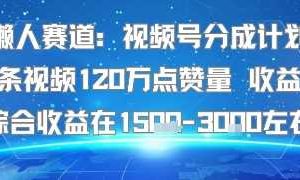 懒人赛道:视频号分成计划单条视频120W点赞量 收益高综合收益在1.5K左右